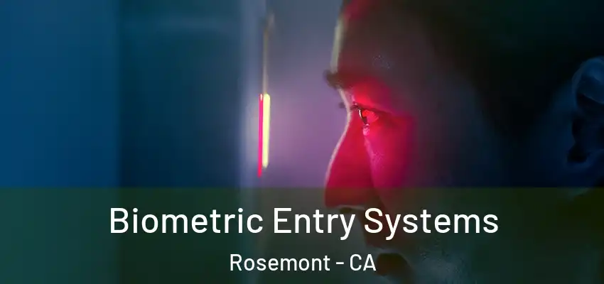 Biometric Entry Systems Rosemont - CA