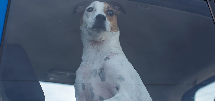 Car Lockout Solutions in Rosemont, California