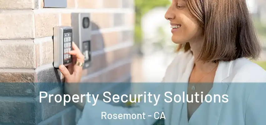 Property Security Solutions Rosemont - CA