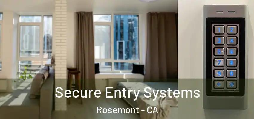 Secure Entry Systems Rosemont - CA
